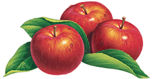 Apples