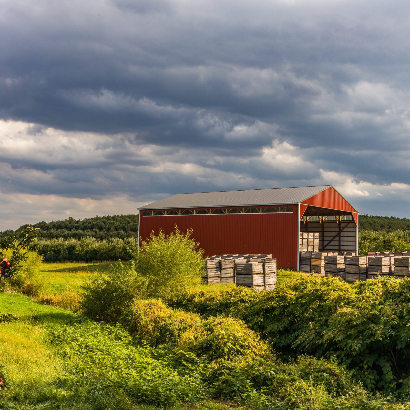 Tradition, Stweardship and Heritage