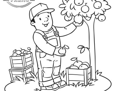 Orchard Coloring Fun!